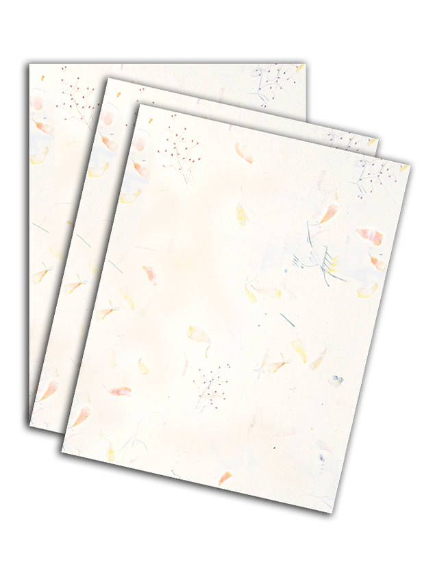 Geographics Invitations